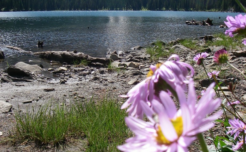 Shannon Lake