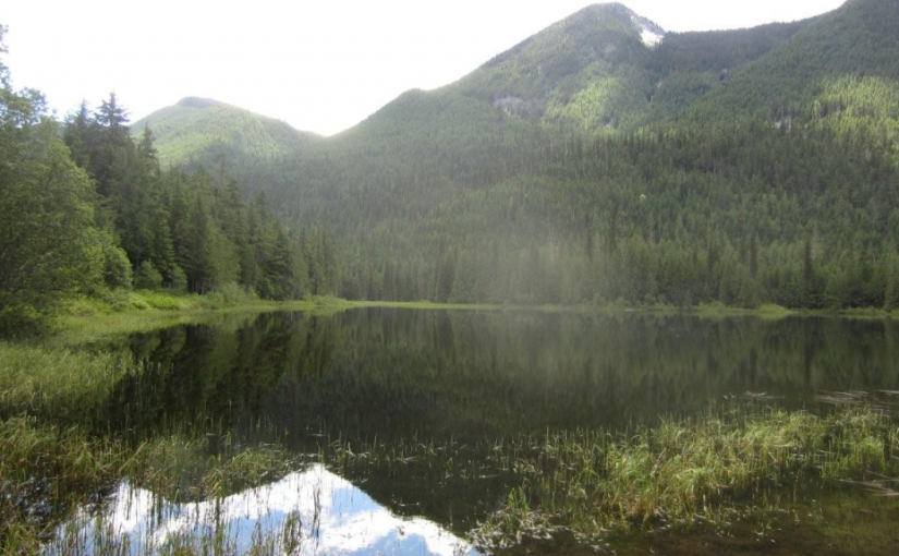 Beaver Lake Rec Site