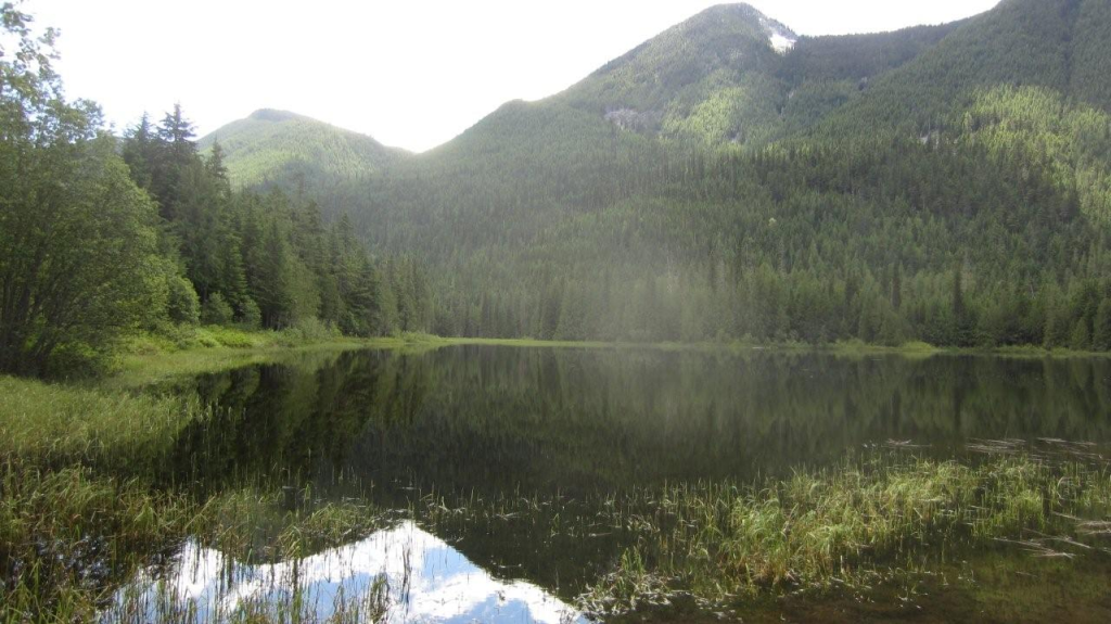 Beaver Lake Rec Site Kootenay Experience
