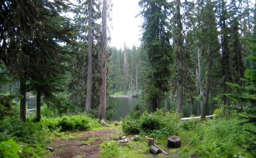 Cooley Lake Rec Site