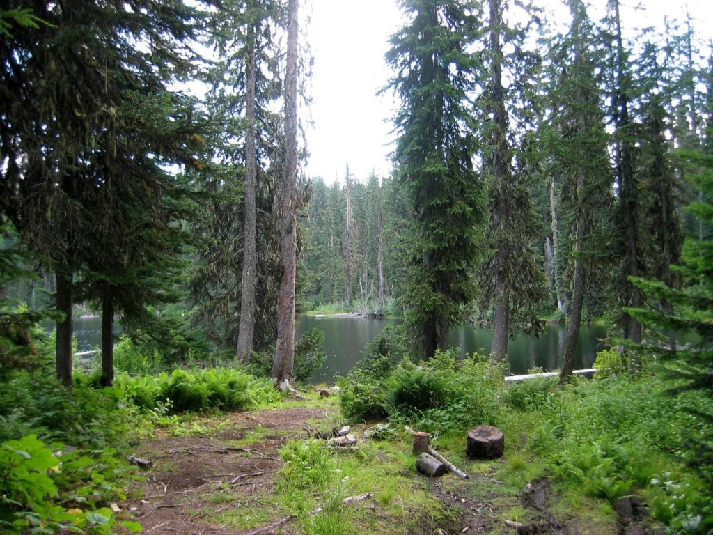 Cooley Lake Rec Site Kootenay Experience