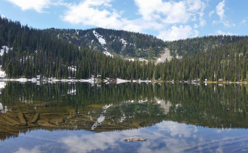 Ross Lake Trail