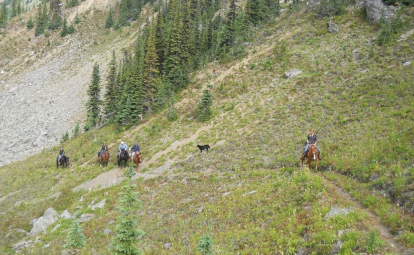 SilverCup Ridge Trail